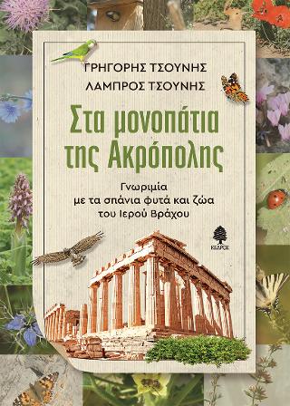 Στα μονοπάτια της Ακρόπολης