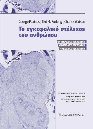 Φωτογραφία από Το εγκεφαλικό στέλεχος του ανθρώπου